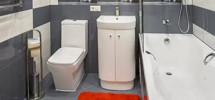 Hansgrohe Shaving Mirror Hawkesbury